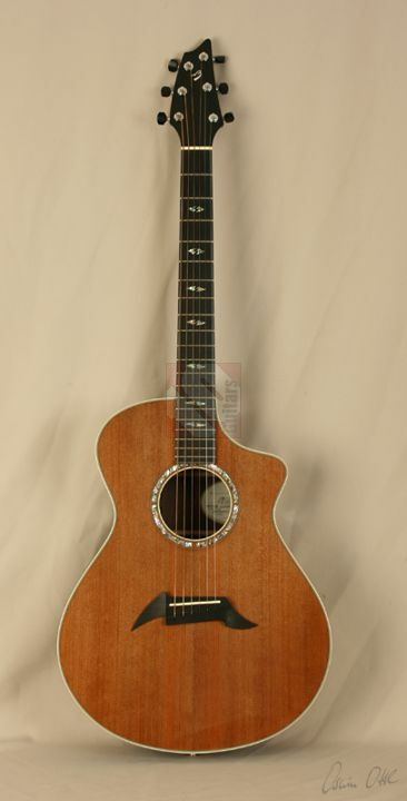 breedlove focus se Breedlove Masterclass Focus SE Redwood Special