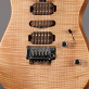 Charvel Guthrie Govan Natural Flame (2014) Detailphoto 3