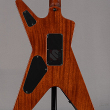 Photo von Dean Dime Slime ML Dimebag Darrell USA (2018)