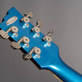 Duesenberg Starplayer TV Mike Campbell Heartbreakers Thirty Year Anniversary (2015) Detailphoto 19