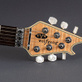 EVH Wolfgang USA Hardtail Natural (2014) Detailphoto 7
