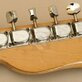 Fender Telecaster Thinline (1972) Detailphoto 12