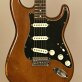 Fender Stratocaster Mocha (1974) Detailphoto 1