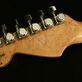 Fender Stratocaster Carved Top Stratocaster (1995) Detailphoto 10
