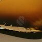 Fender Stratocaster Sunburst (2006) Detailphoto 14