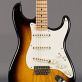 Fender Stratocaster 55 Hardtail MB Greg Fessler Florian Jäger Makeover (2021) Detailphoto 1