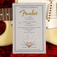 Fender Stratocaster 60s DuoTone Relic Limited Edition (2012) Detailphoto 21