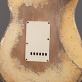 Fender Stratocaster 61 HSS Ultra Relic Masterbuilt Vincent van Trigt (2023) Detailphoto 4