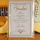 Fender Stratocaster 62 Relic 60th Anniversary Ltd. Masterbuilt Dale Wilson (2014) Detailphoto 24