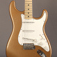 Fender Stratocaster 69 Relic Masterbuilt Greg Fessler (2015) Detailphoto 1