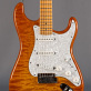 Fender Stratocaster Custom DLX (2012) Detailphoto 1