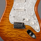 Fender Stratocaster Custom DLX (2012) Detailphoto 3