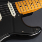 Fender Stratocaster David Gilmour NOS (2019) Detailphoto 9