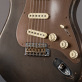 Fender Stratocaster Ironwood Relic Masterbuilt Dale Wilson (2016) Detailphoto 3