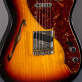 Fender Telecaster 60 Thinline Limited Journeyman (2020) Detailphoto 3