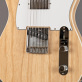 Fender Telecaster 66 Custom Albert Collings Signature (2018) Detailphoto 3