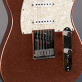 Fender Telecaster American Classic Champagne Sparkle (1995) Detailphoto 3