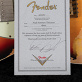 Fender Telecaster Andy Summers Tribute Masterbuilt Dennis Galuszka (2007) Detailphoto 21