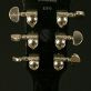 Gibson Les Paul Joe Bonamassa Goldtop Aged (2009) Detailphoto 10