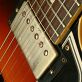 Gibson ES-335 Joe Bonamassa Limited Edition (2012) Detailphoto 14