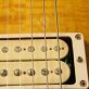 Gibson Les Paul CC#4 Sandy Bavarian Makeover II (2012) Detailphoto 18