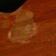 Gibson Les Paul 59 Rick Nielsen Aged True Historic (2016) Detailphoto 15