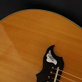Gibson Dove 100th Anniversary (1994) Detailphoto 5