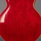 Gibson ES-335 61 Warren Haynes Limited (2014) Detailphoto 4