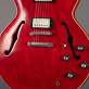 Gibson ES-335 61 Warren Haynes Limited (2014) Detailphoto 3