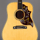 Gibson Hummingbird Custom (1999) Detailphoto 1