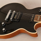 Gibson Les Paul Lou Pallo Signature 24 of 400 (2011) Detailphoto 5