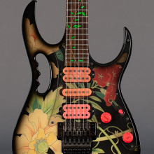 Photo von Ibanez JEM 77 FP Black Floral Pattern Steve Vai (1989)