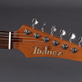 Ibanez MMN1-TAB Martin Miller Signature (2023) Detailphoto 7