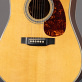 Martin D-28M Limited Edition Mamas and Papas Madagascar (2012) Detailphoto 3