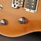PRS CE 24 Reclaimed Limited (2017) Detailphoto 7