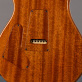 PRS Custom 24 24-08 Private Stock "Frostbite Fade" (2023) Detailphoto 4