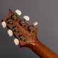 PRS Custom 24 24-08 Private Stock "Frostbite Fade" (2023) Detailphoto 19