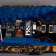 PRS Custom 24 Floyd Rose Wood Library (2023) Detailphoto 24