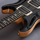 PRS Custom 24 Floyd Rose Wood Library (2023) Detailphoto 15