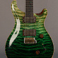 PRS Custom 24 Private Stock Emerald Green Fade (2016) Detailphoto 1