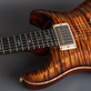 PRS DGT David Grissom 10-Top Wood Library (2024) Detailphoto 14