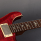 PRS McCarty 20th Anniversary Rosewood Neck (2005) Detailphoto 11