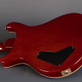 PRS McCarty McCarty Sunburst (2001) Detailphoto 17