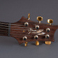 PRS Modern Eagle II Red Tiger (2008) Detailphoto 7