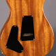 PRS Modern Eagle II Red Tiger (2008) Detailphoto 4