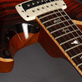 PRS Paul's Guitar 85 Private Stock Electric Tiger Glow (2020) Detailphoto 12