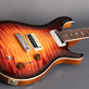 PRS Paul's Guitar 85 Private Stock Electric Tiger Glow (2020) Detailphoto 8