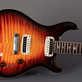 PRS Paul's Guitar 85 Private Stock Electric Tiger Glow (2020) Detailphoto 5