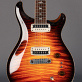 PRS Paul's Guitar 85 Private Stock Electric Tiger Glow (2020) Detailphoto 1