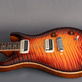 PRS Paul's Guitar 85 Private Stock Electric Tiger Glow (2020) Detailphoto 14